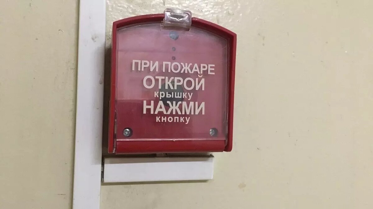     Источник: 1MI