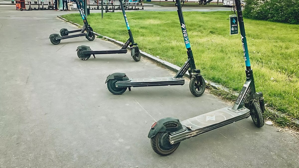     Источник: 1MI