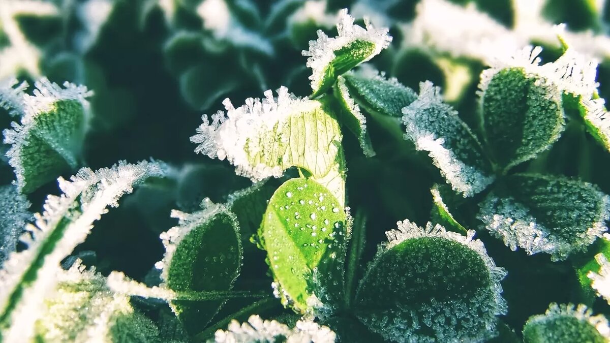     Автор: Unsplash