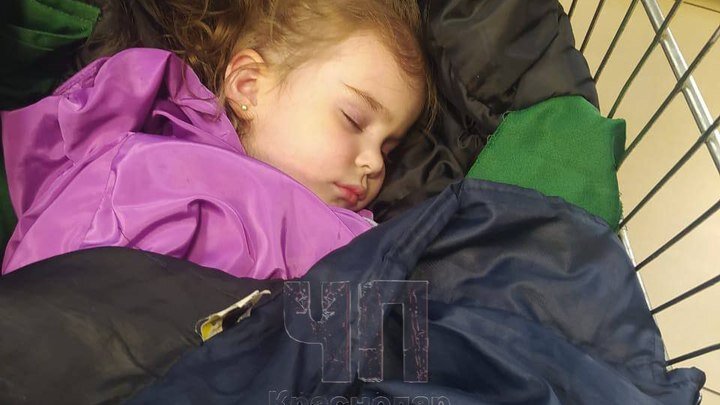 Девочка спала в продуктовой тележке. Фото: соцсети 