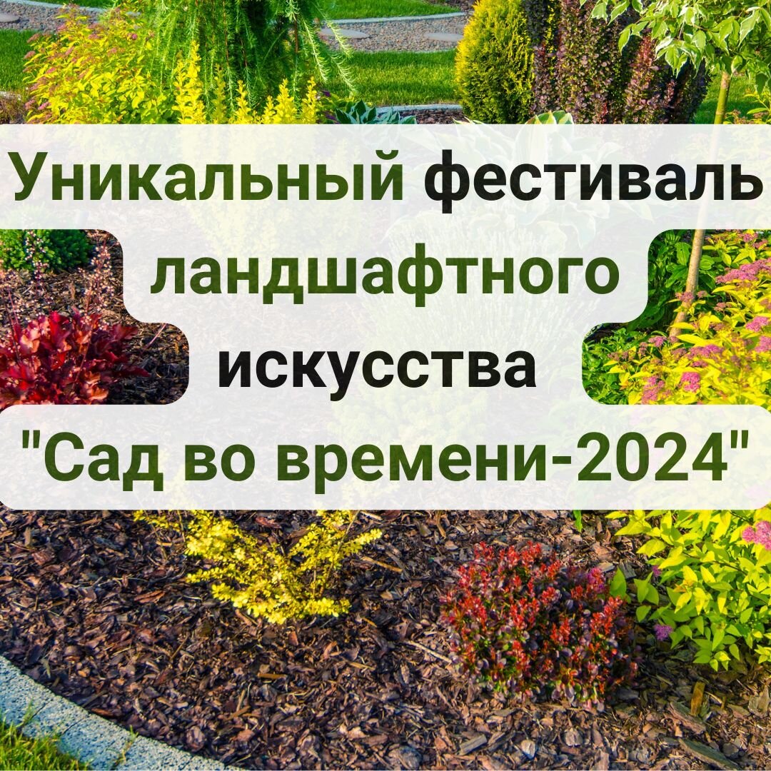 Сад во времени
