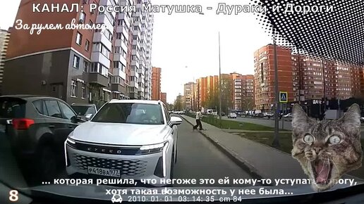 Русские бабы просят их выебать ▶️ смотреть бесплатно секс видео