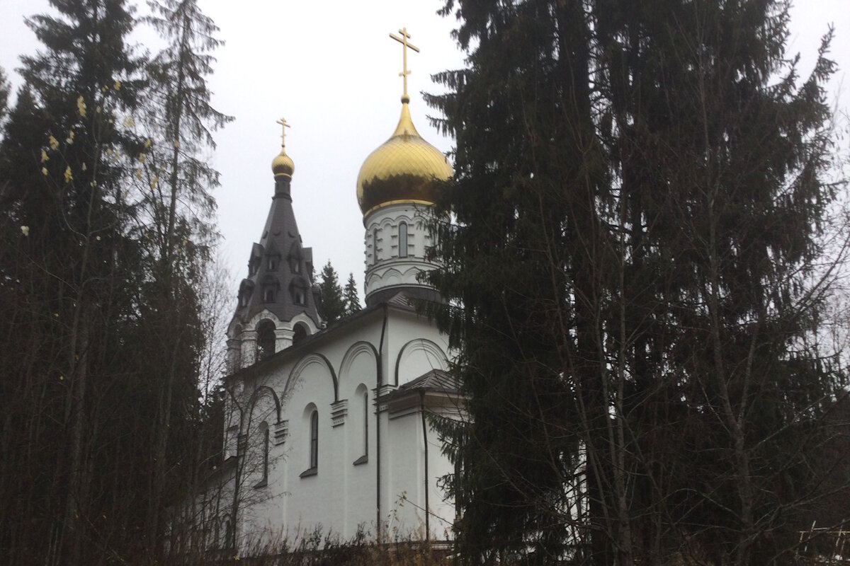 Мариинский монастырь скрыт в лесной глуши 