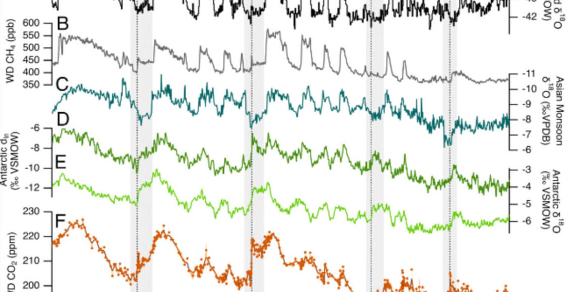    Фото: pnas.org