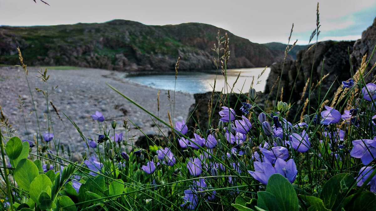 Териберка. Каменный пляж