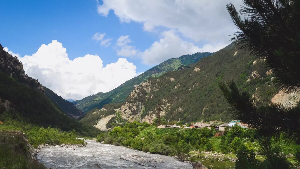     Источник: 1MI