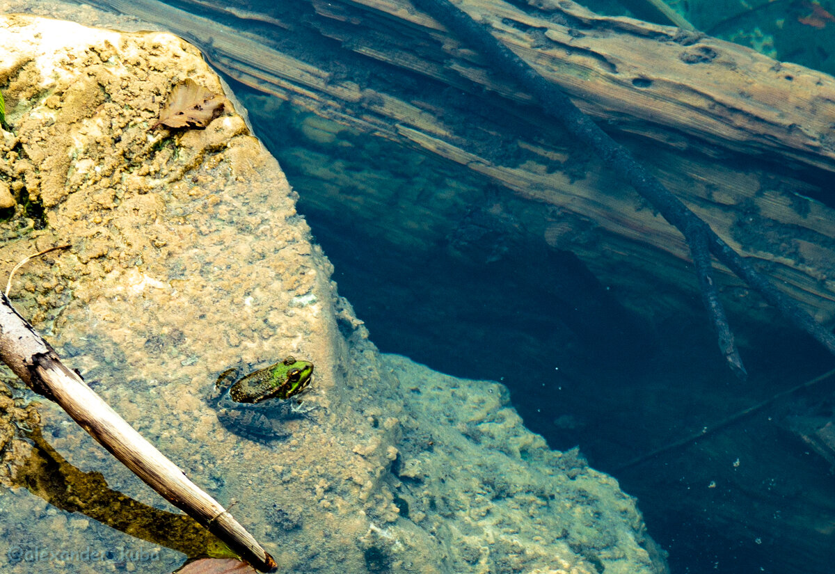 Созерцание бездны...