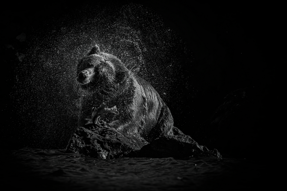    Елена Полякова, photo.rgo.ru