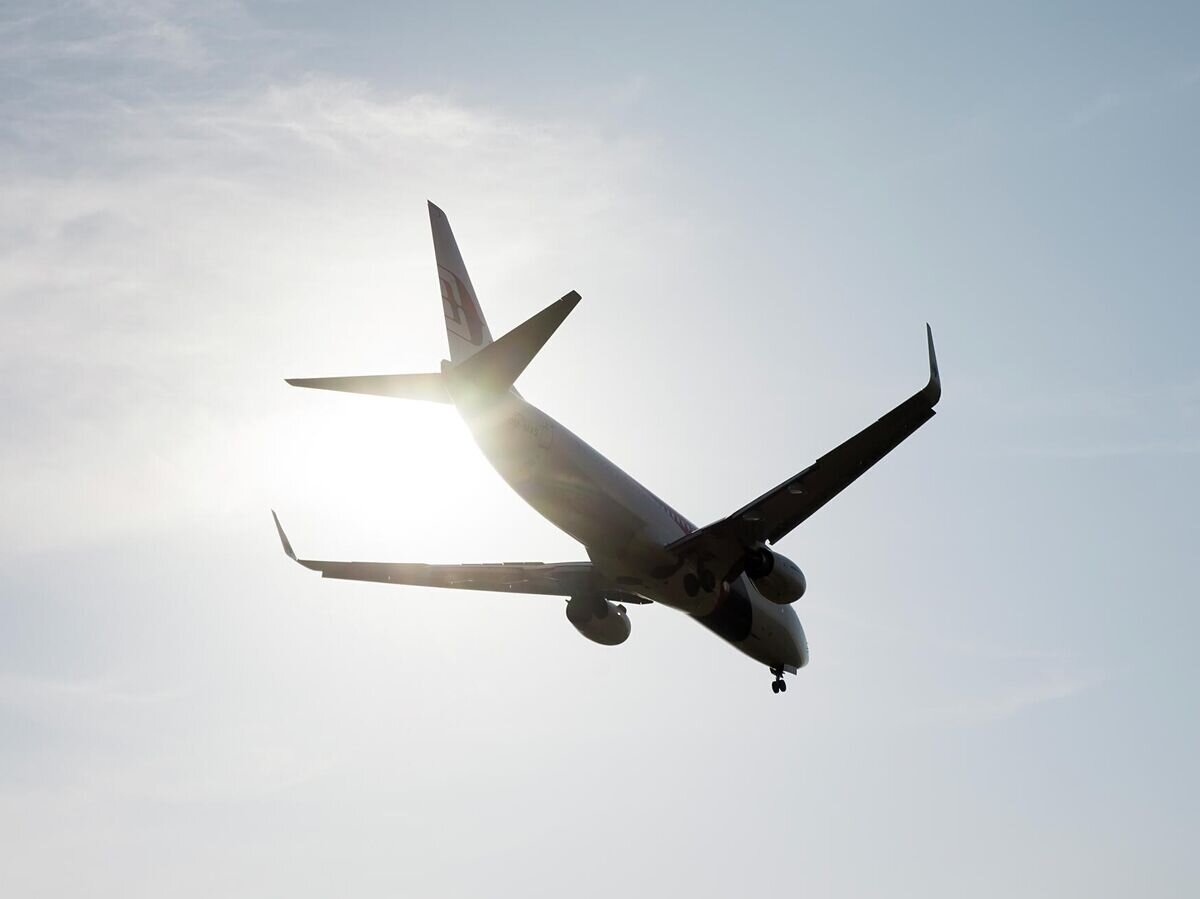    Самолет Boeing 737 авиакомпании Malaysia Airlines© Depositphotos.com / Ali Mufti