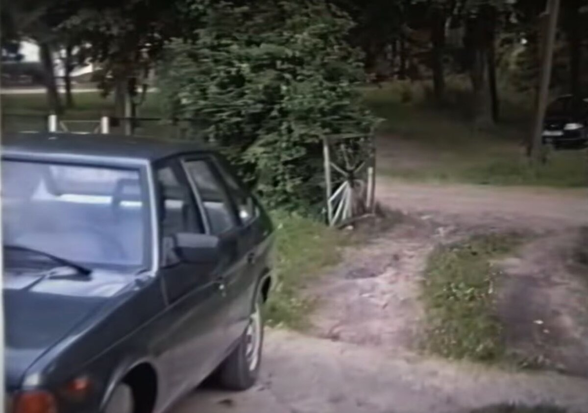 из архива Н. Разлоговой