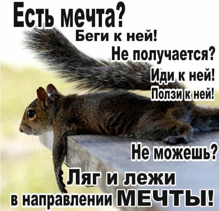 Мечты сбываются