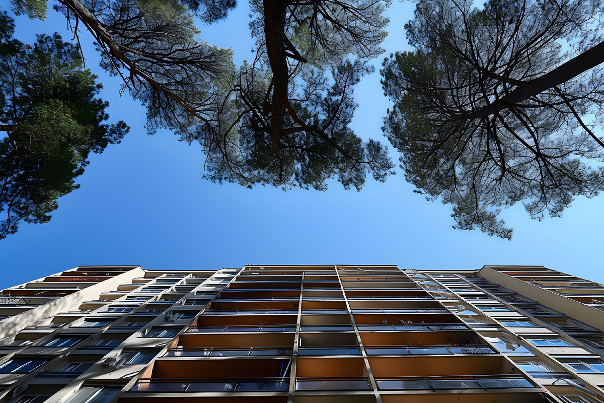 Изображение от freepik