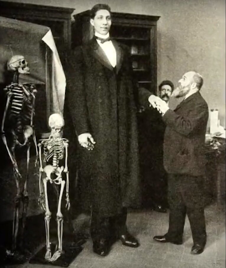 Фото: скрин видео Youtube