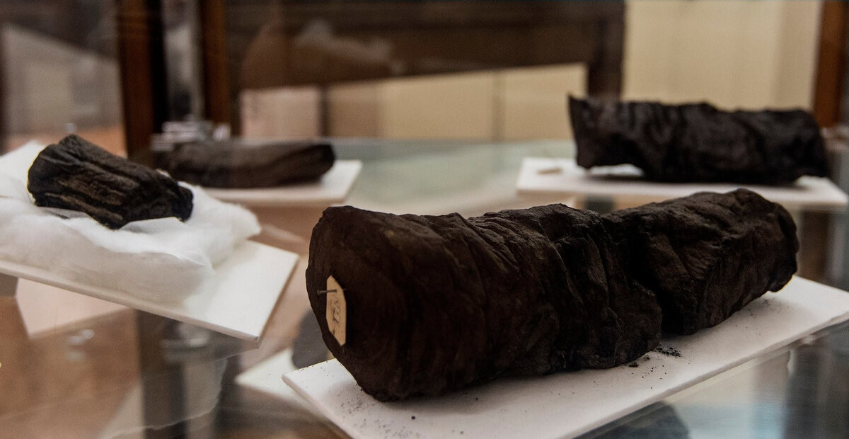 Рис. 2. Карбонизированный папирус [1]