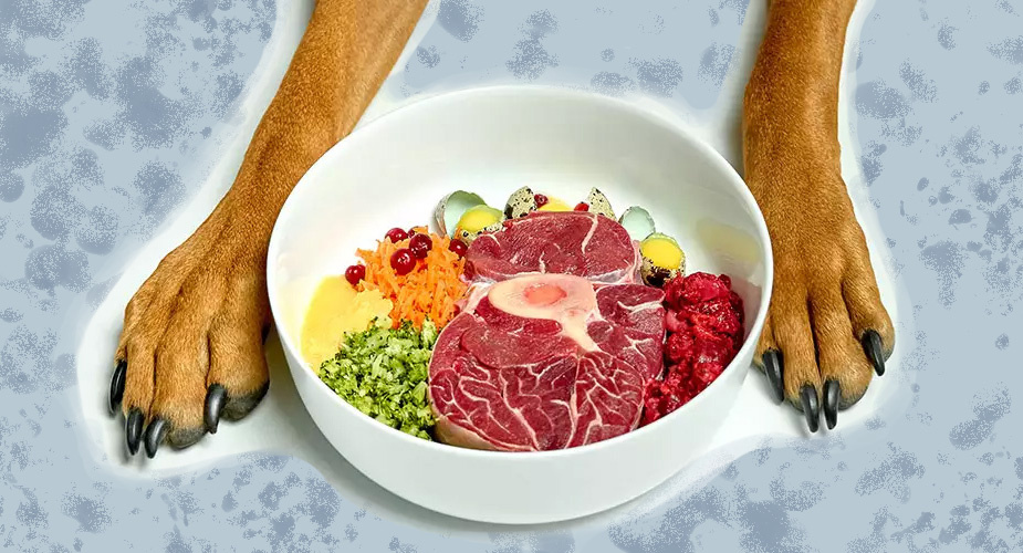 Меню для собак: натуральное питание