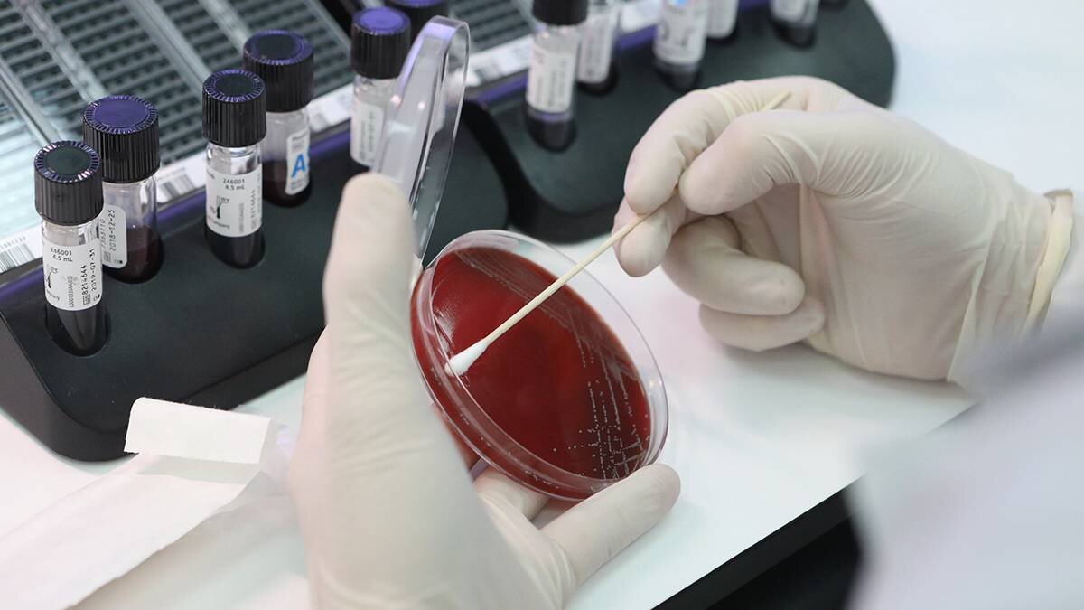    Фото: Андрей Никеричев / АГН Москва