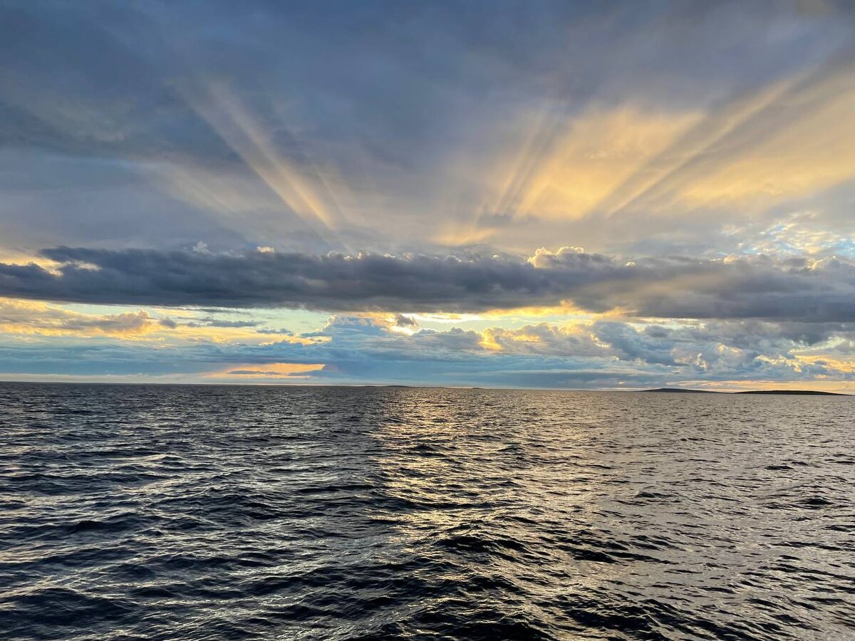 Фото Светланы Симоновой