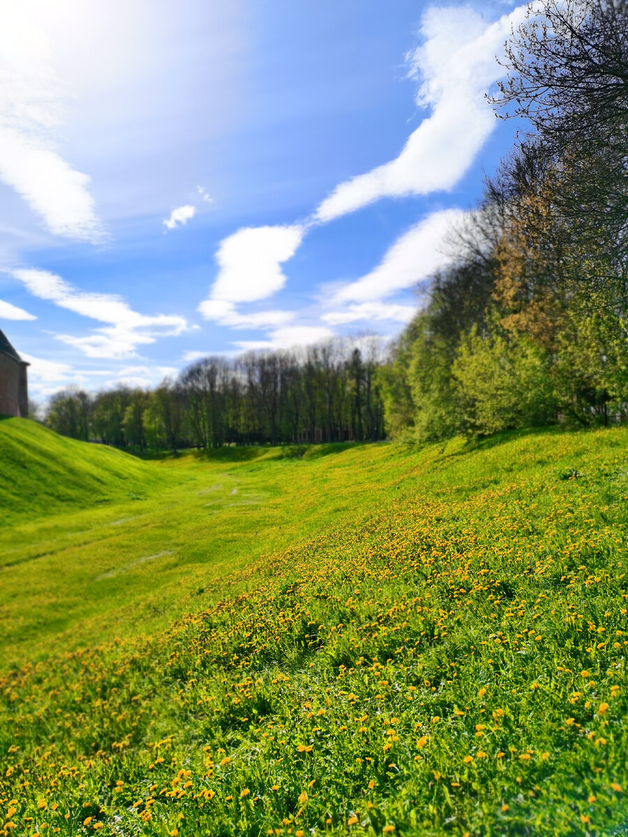 Погода радует