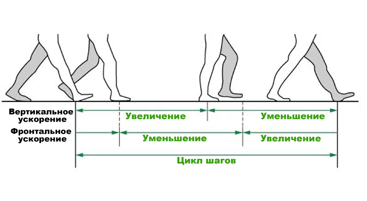 Принцип работы шагомера