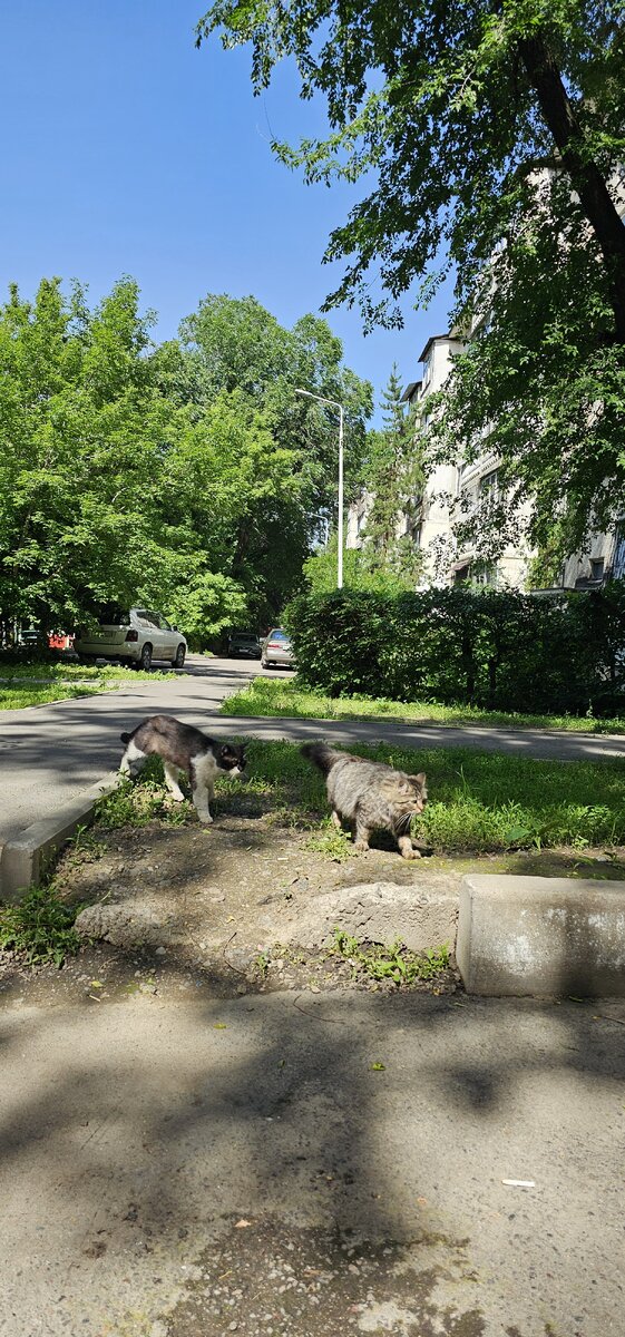 Вот у кого всё в порядке с личными границами)