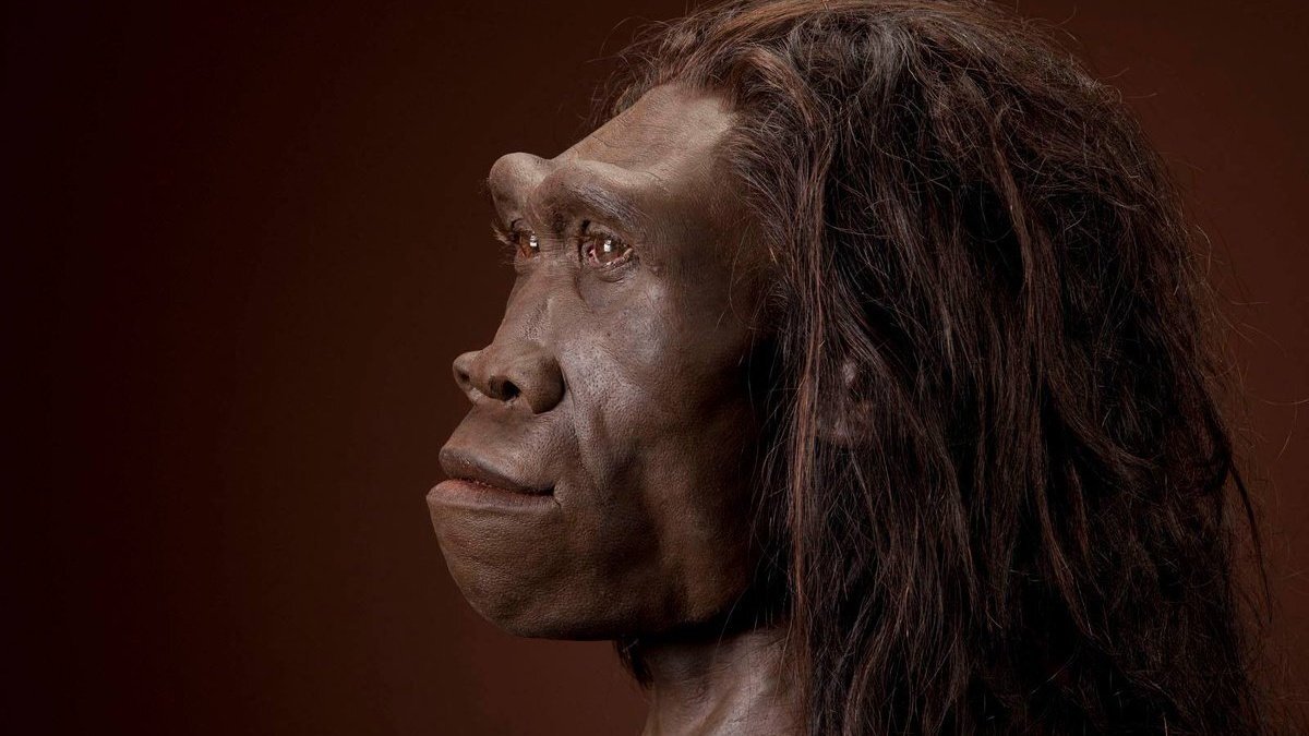 Homo erectus. Фото: cdn.fishki.net