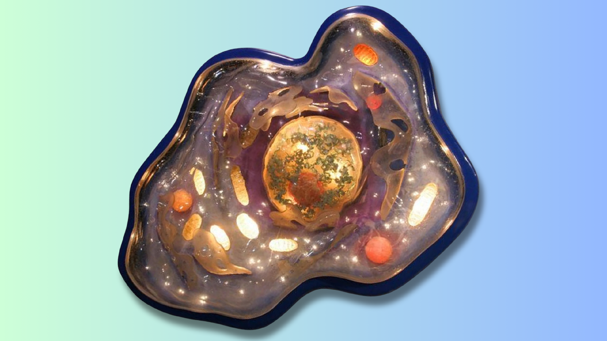 Фантастика! Это и есть мой пращур? Верится с трудом