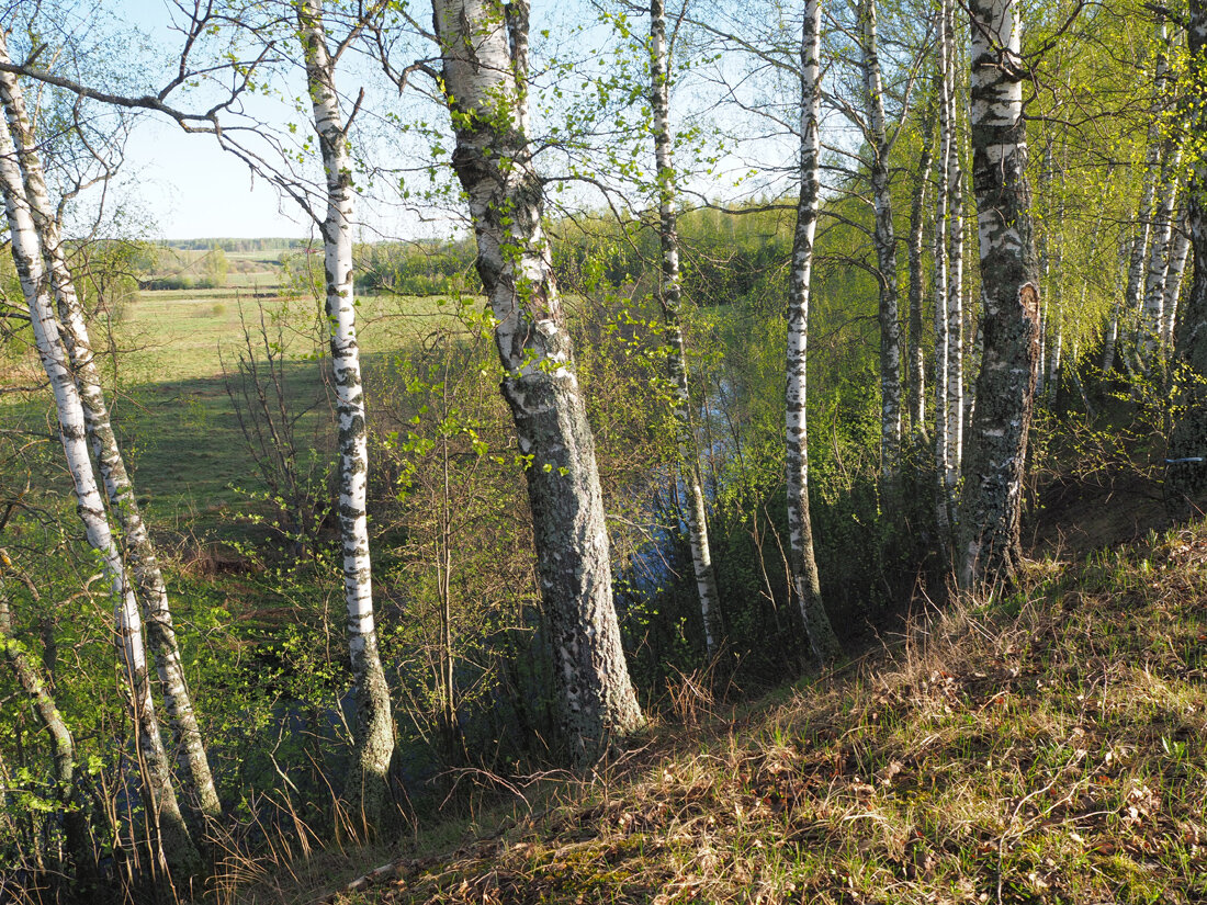 На краю обрыва.