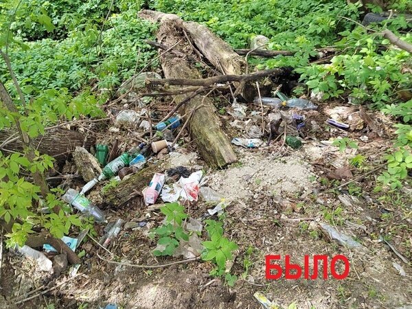     В Иванове из Варгинского оврага вывезли 40 мешков мусора