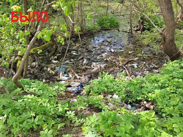     В Иванове из Варгинского оврага вывезли 40 мешков мусора