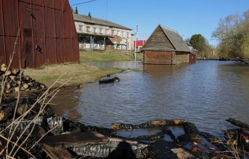    «Клоуны, ничего не добились»: чиновник оскорбил россиян, пострадавших от паводка