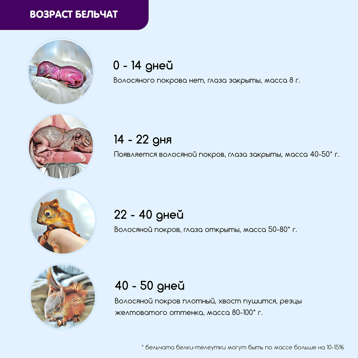 Определяем возраст бельчонка