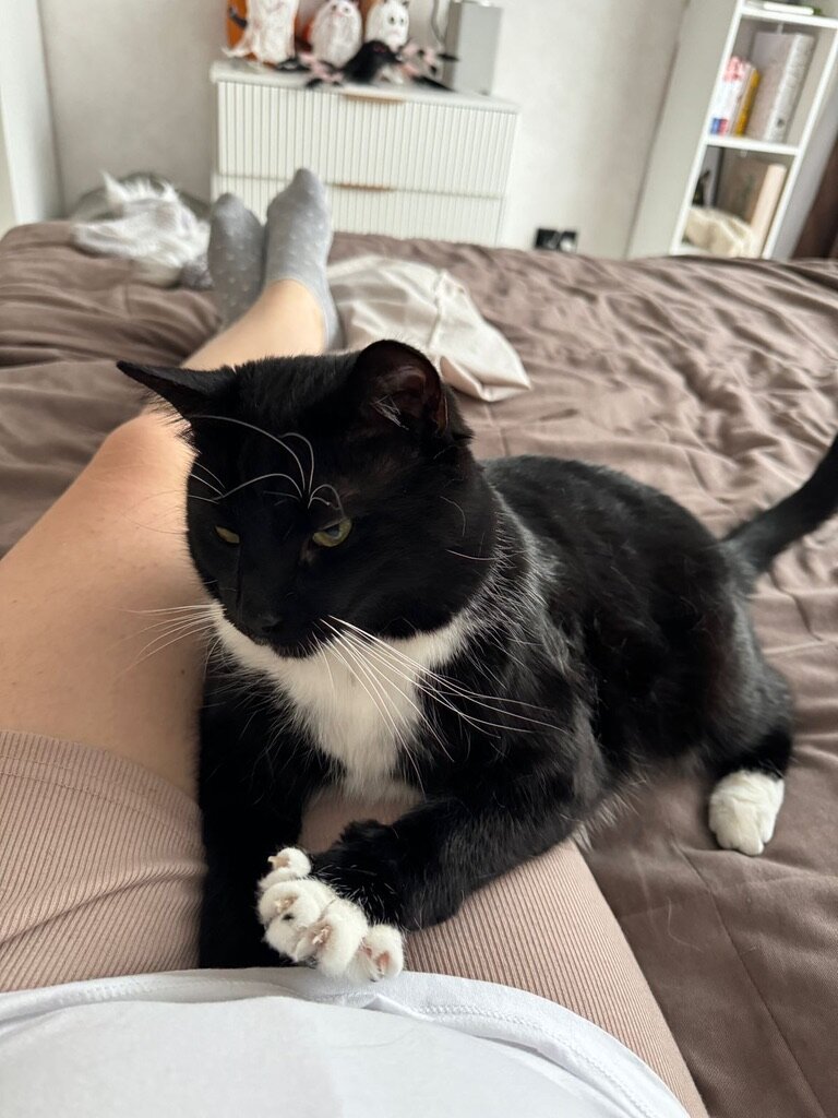 Доказательство того, что Пиня любит только меня