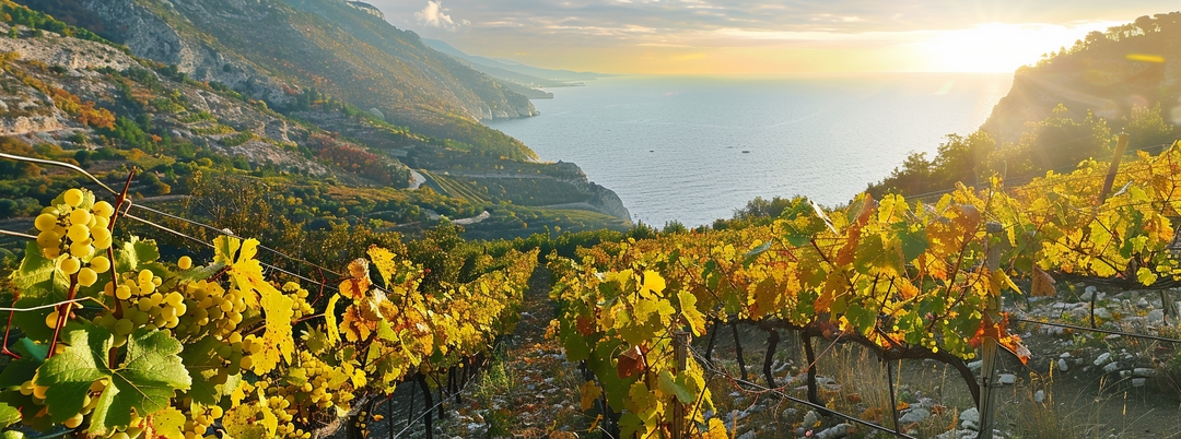 ЛУЧШЕЕ ВИНО ИЗ РИСЛИНГА В РОССИИ. МАЙ 2024