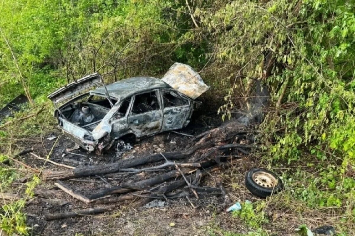    В Лунинском районе перевернулась Lada, пострадало два подростка