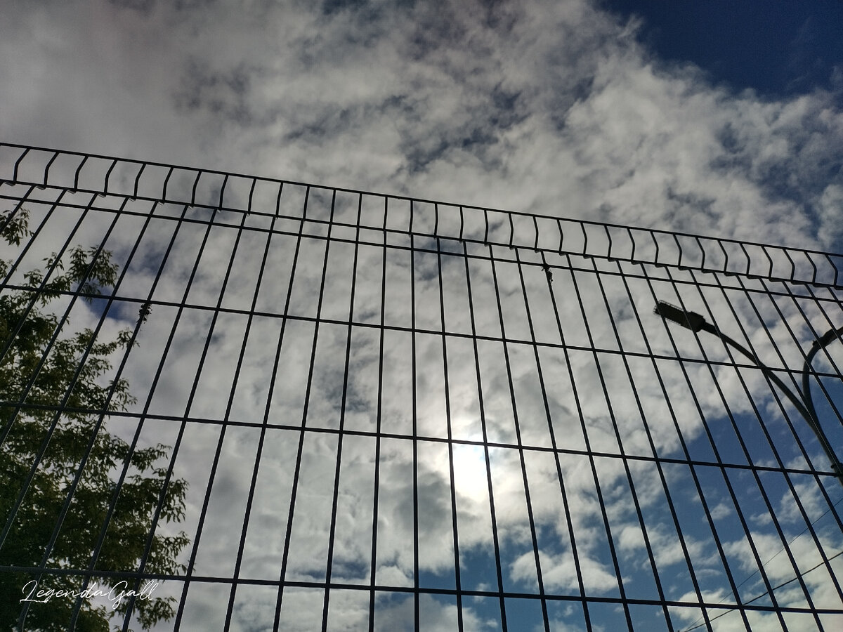 Стою за решеткой....