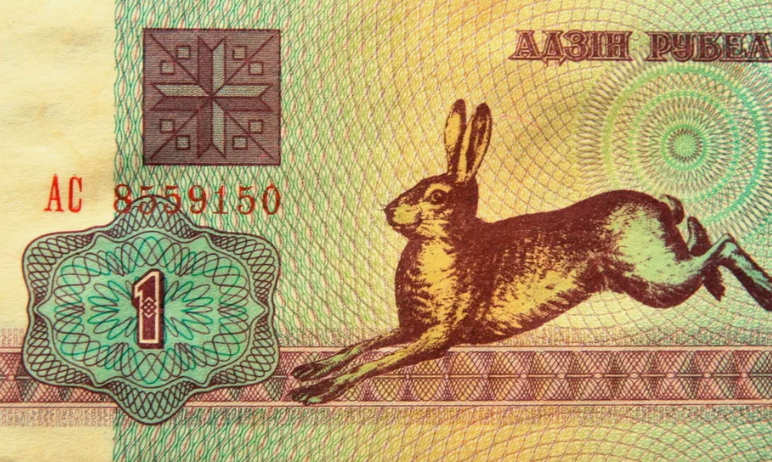 Белорусский зайчик