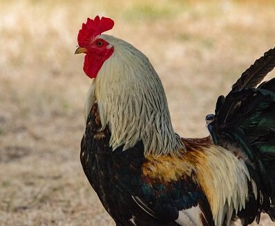 Изображение из открытого источника. Unsplash