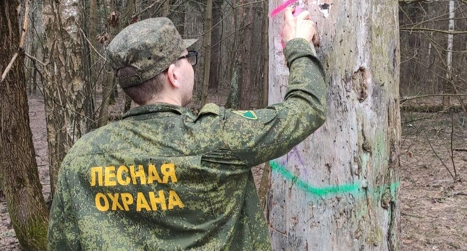    Комитет лесного хозяйства МО