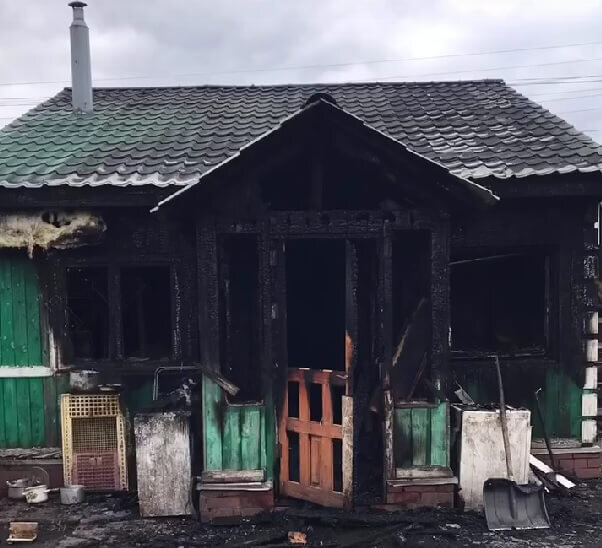    Фото: скрин видео приюта "Дом замечательных животных"