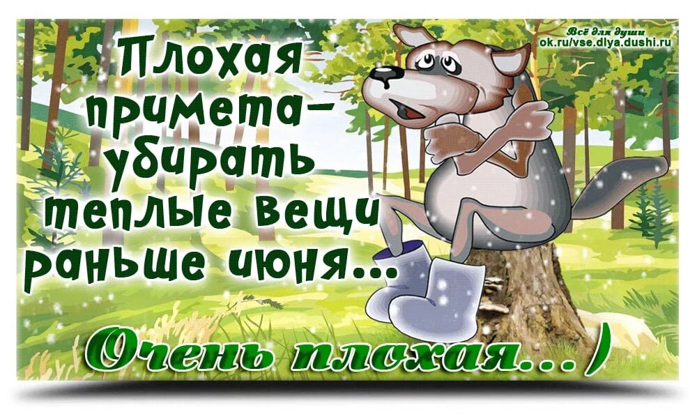 Больше не буду убирать вещи рано! 😂