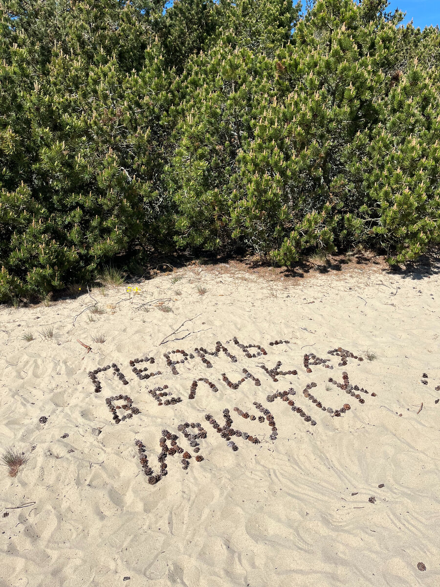 1. San Ant: привет с Куршской косы из Калининградской области! Фото из личного архива. 