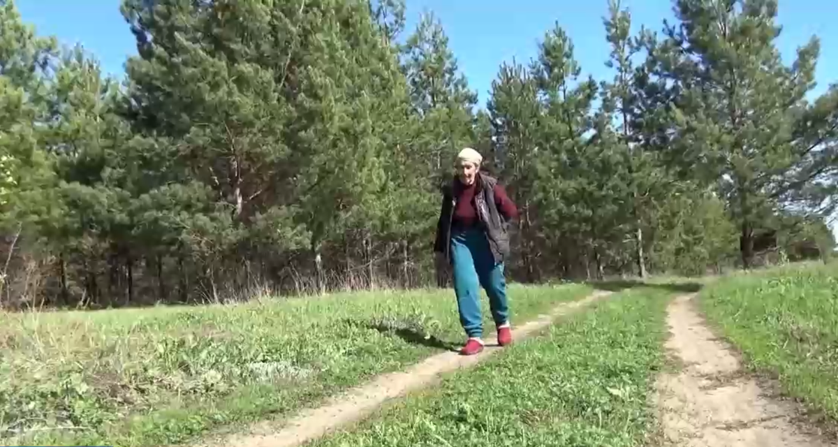 Грунтовая дорога в Светлый путь лежит через лес