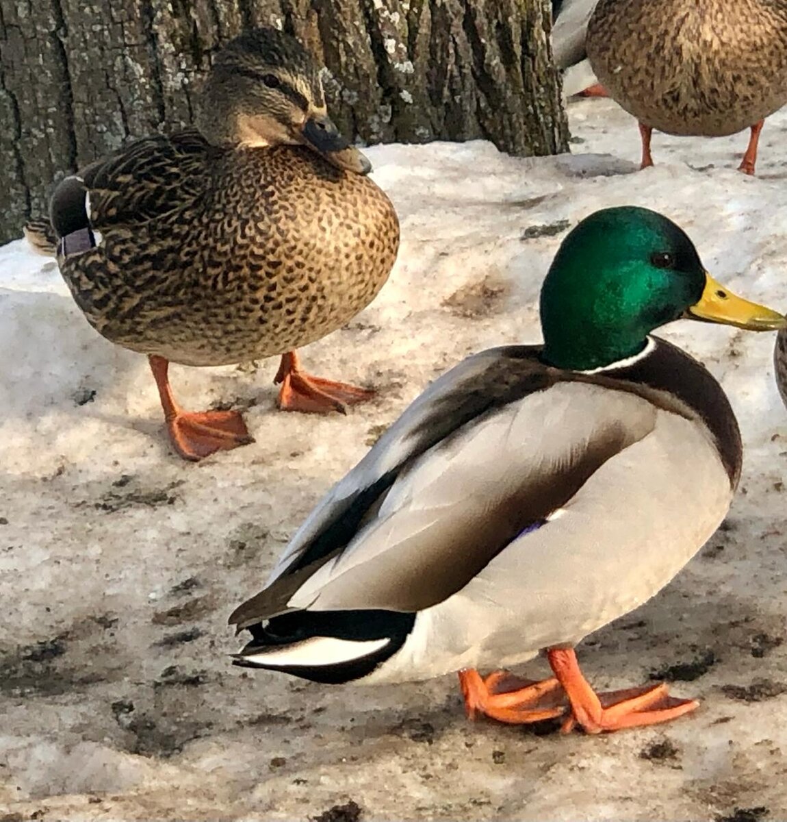 Фото Маргариты Борисовой.