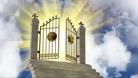 фото из свободных источников