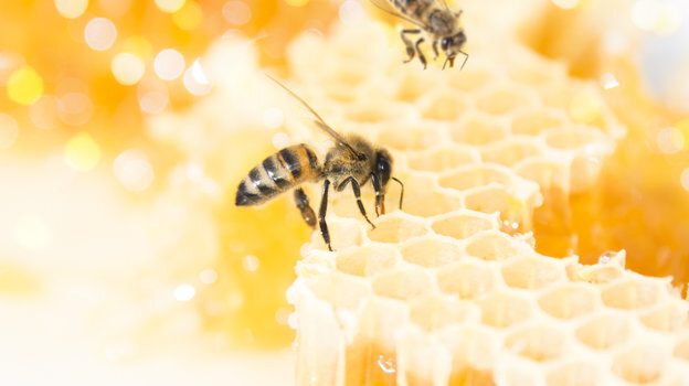    guvendemir/istockphoto.com