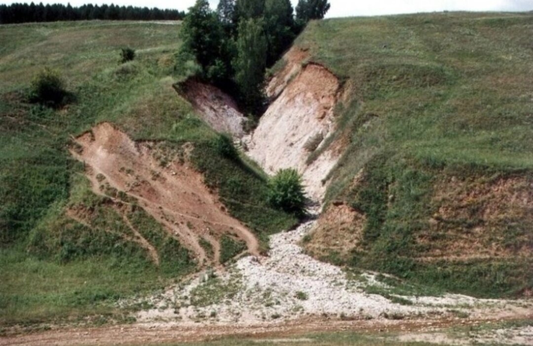 Фото из ресурсов Яндекса