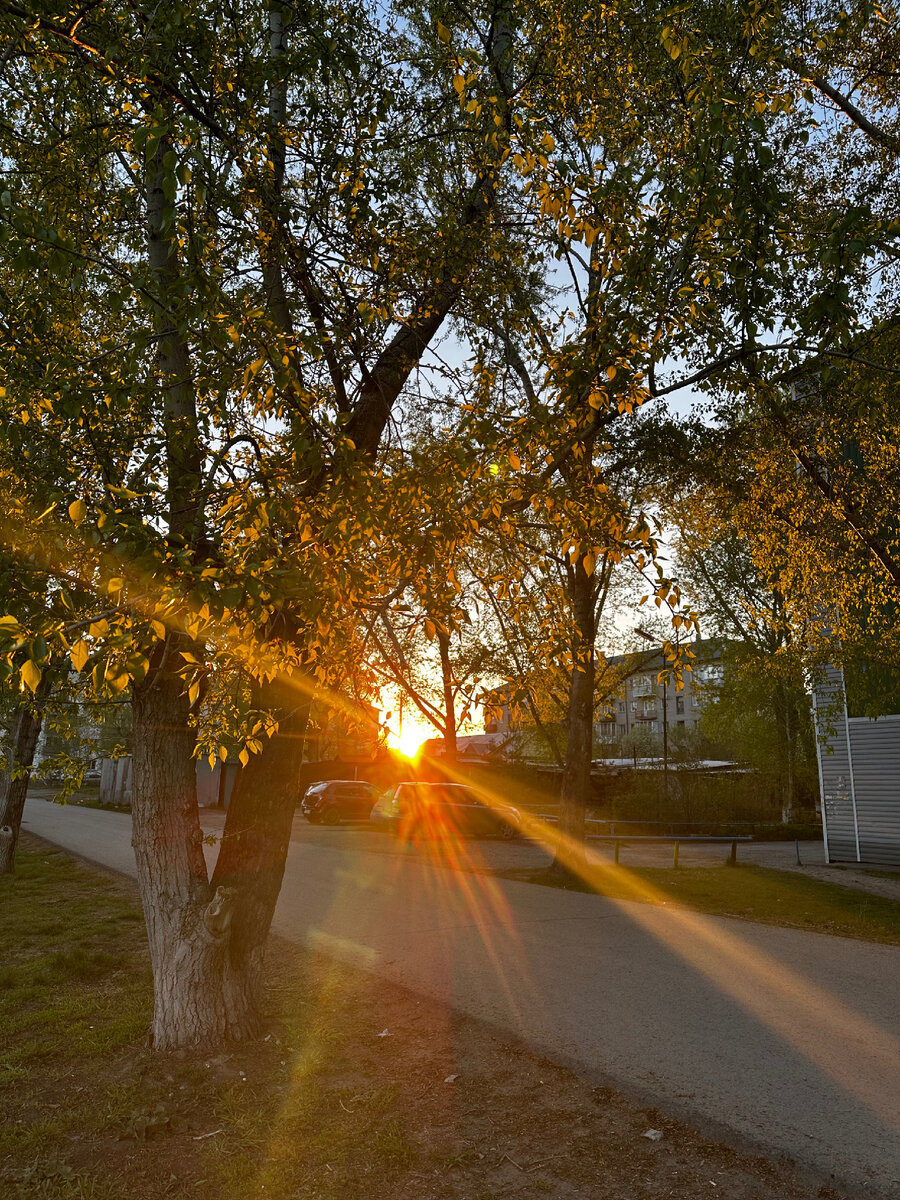 Вечерний вид😍🌞