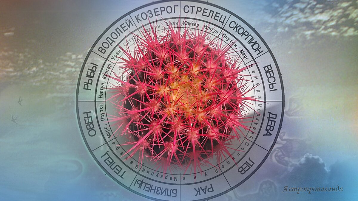 Гороскоп с 13 по 19 мая 2024: большое соединение Солнца, Урана, Венеры и Юпитера. 