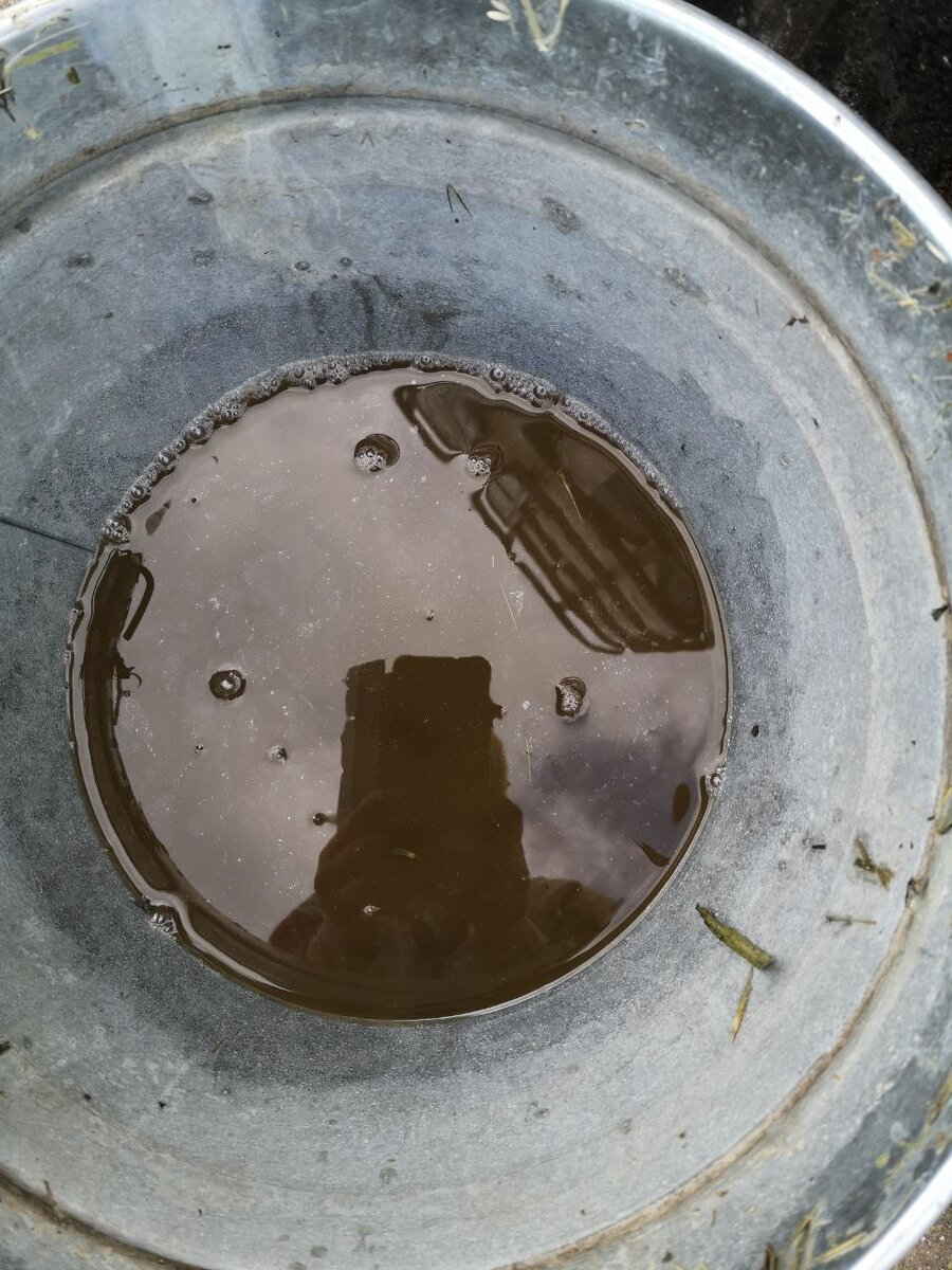 Настой краписы с добавлением Флоры