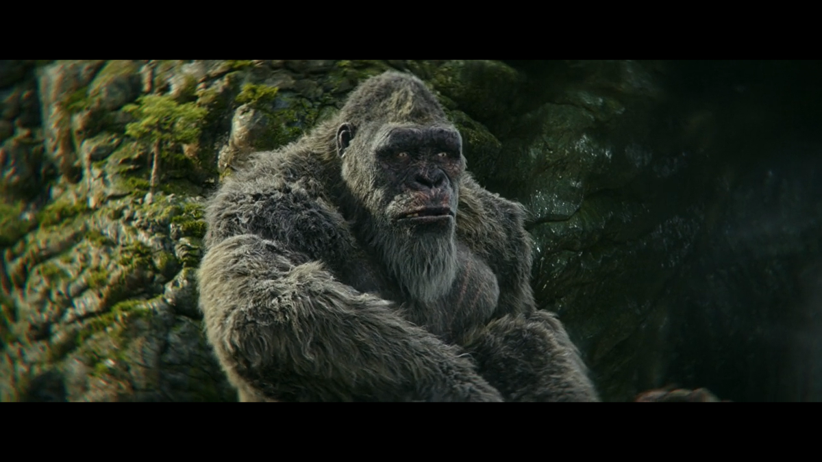 Конг в новом мире часто рефлексирует: то пообщаться не с кем, то зуб болит